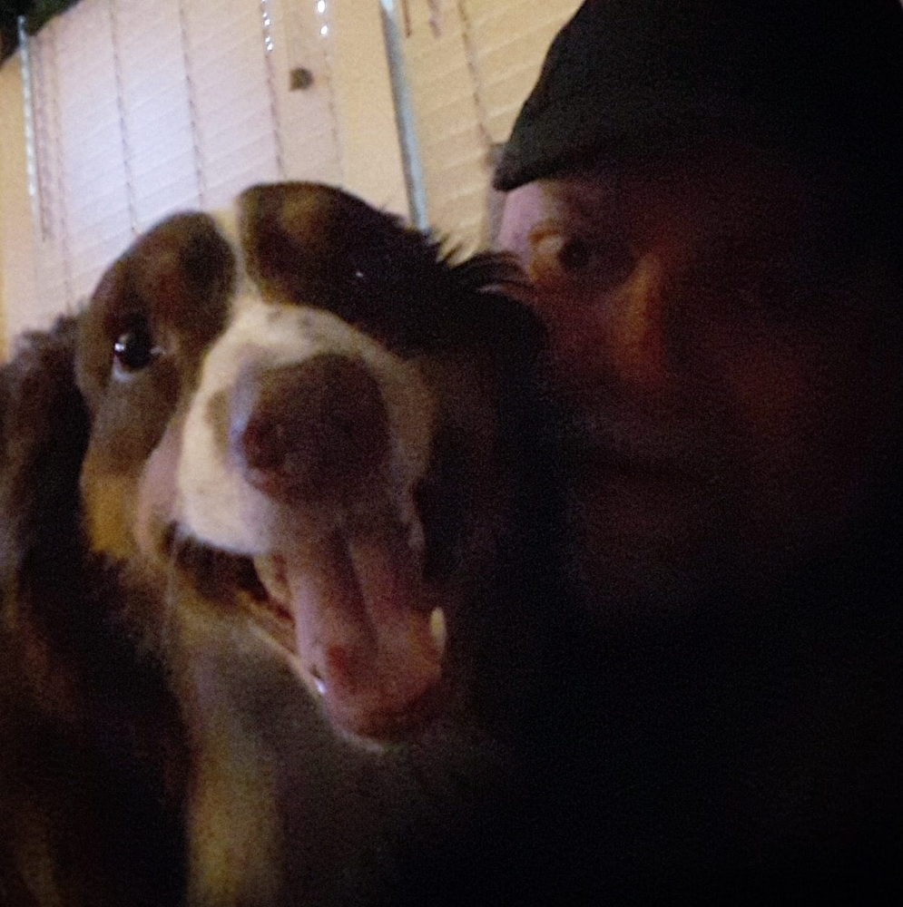 Meet your Posher, Dave